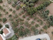 Almyrida Kreta, Almyrida: Grundstück in Strandnähe mit Meerblick zu verkaufen Grundstück kaufen